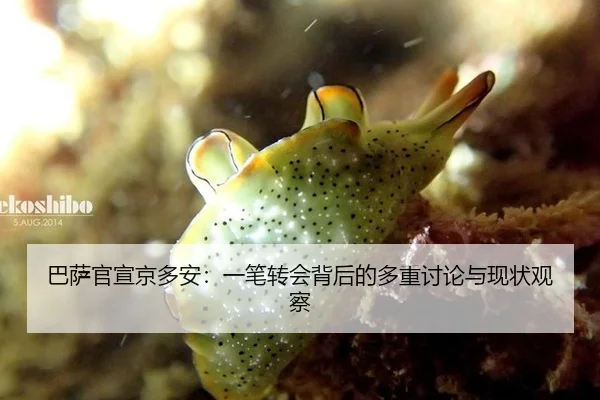 巴萨官宣京多安：一笔转会背后的多重讨论与现状观察